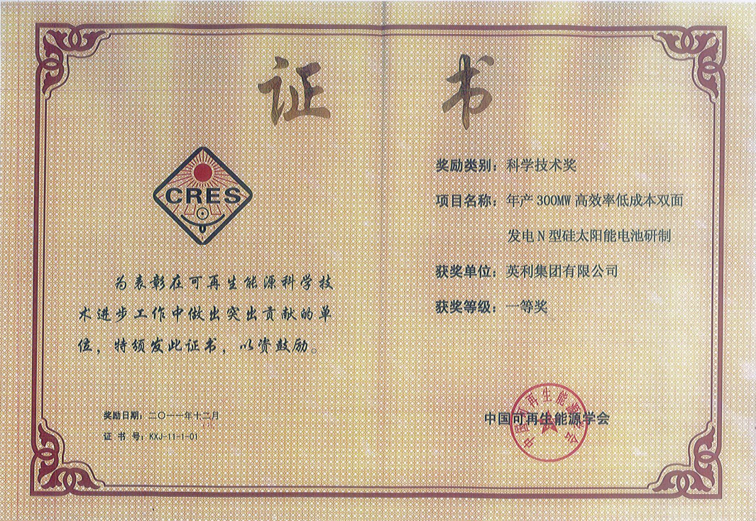 科學技術獎一等獎